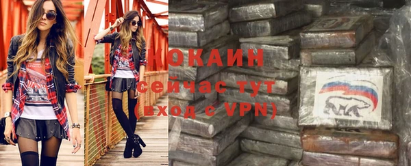 шишки Балабаново