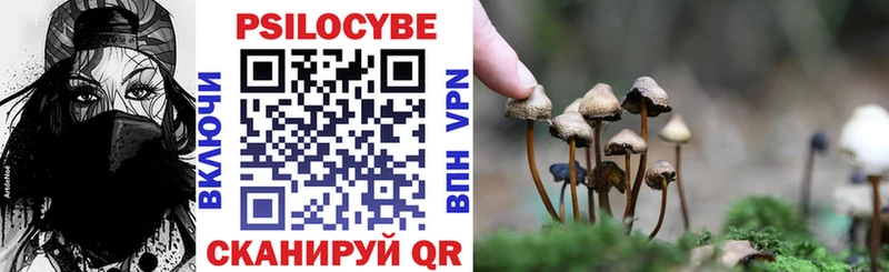 МЕГА маркетплейс  Курганинск  Галлюциногенные грибы Psilocybine cubensis 